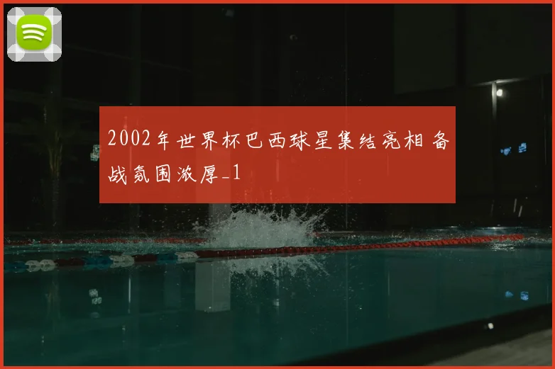 2002年世界杯巴西球星集结亮相 备战氛围浓厚_1