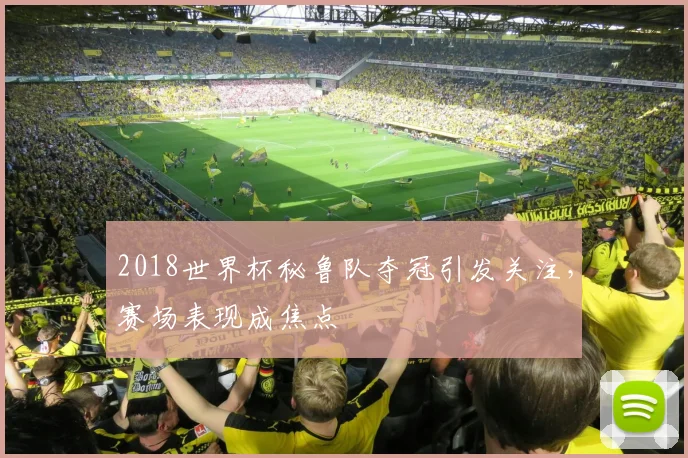 2018世界杯秘鲁队夺冠引发关注,赛场表现成焦点